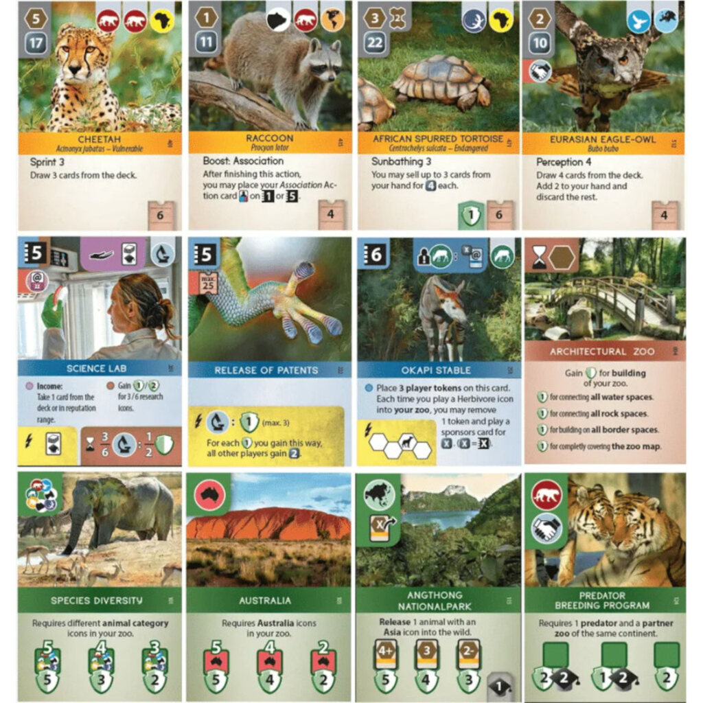 Ark Nova - Masters Traditional Games Ark Nova